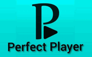 Perfect Player